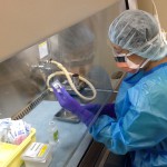 無菌室での、抗癌剤無菌調製 画像2